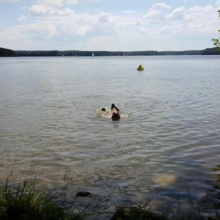 Apartament Holzmichel _ Pinocchio Lärz Zewnętrze zdjęcie