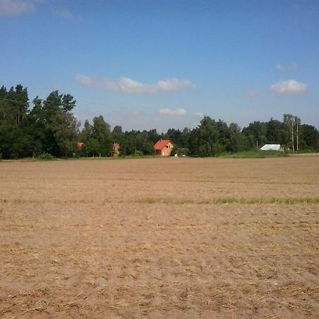Apartament Holzmichel _ Pinocchio Lärz Zewnętrze zdjęcie