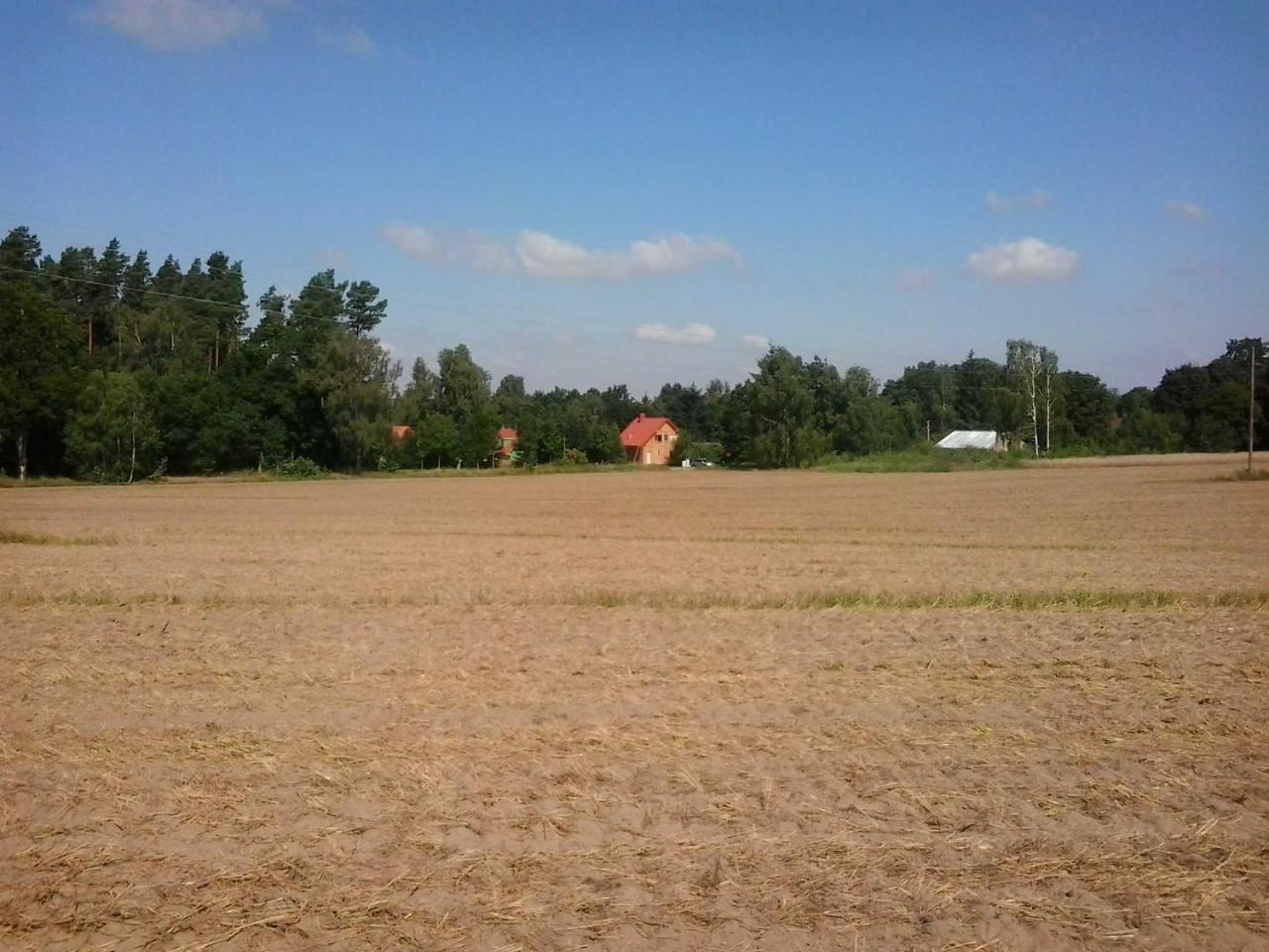 Apartament Holzmichel _ Pinocchio Lärz Zewnętrze zdjęcie
